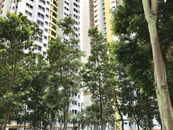 Blk 121A Kim Tian Place (Bukit Merah), HDB 4 Rooms #169677832